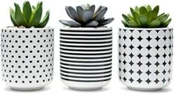 Dipiti Artificial Succulent Plants In Pots-Set Of 3|Black And White Ceramic Planters|Faux Plants Indoor & Outdoor|Gifts For Women|Kitchen Office Bathroom Desk Bedroom Shelf Decor|Potted Fake Plants -Green Leaf Store 41mcbwUG3pS. AC