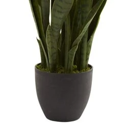 Nearly Natural, Green 4855 35in. Sansevieria With Black Planter -Green Leaf Store 41mmoxsJseL