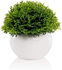 Mini Artificial Plant In White Ceramic Pot | Decorative Faux Plant For Home/Office Decor | Small Potted Topiary | Farmhouse Decor Accent | Desk/Kitchen/Bathroom/Shelf Fake Plant (Yellow) -Green Leaf Store 41mxNqvF8jL. AC