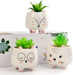 B SEPOR 3 Little Kitty Cats Small Artificial Succulents Potted With White Porcelain Pots Ceramic Animal Planter Gift Set For Home And Office Decor -Green Leaf Store 41n7xqewAUL. AC