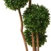 Nearly Natural 5486 Boxwood Topiary Artificial Tree UV Resistant, Green -Green Leaf Store 41niESqTBoL