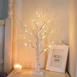 PEIDUO Artificial Tree For Table Decor, Battery Powered Tree Lights With Timer, Lighted Birch Tree With LED Lights For Home, Bedroom, Office, Living Room, Wedding Decor (2FT 24LT Warm White) -Green Leaf Store 41nqvSLzp L. AC