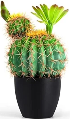 Sunprairie 14” & 30” Tall Rustic Artificial Cactus In Bloom With Soft Spines —Plant Decor Including Attractively Matching Matte Black Pot—Gorgeous Artificial Succulent Plants. -Green Leaf Store 41nt0K4kGaL. AC