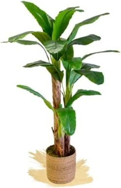 Artificial Banana Tree, Made With The Best Materials, Ideal For Home Decoration, Artificial Plant 7 Feet Tall - 83 Inches -Green Leaf Store 41oCH1uMAQL. AC