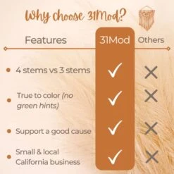 31Mod Faux Pampas Grass With 4 Large Artificial Pampas Grass Stems — 43" (Set Of 4), No-Shedding And Low Maintenance Pampas Grass Decor, Fake Pampas Grass, Pampas Grass Large, Boho Decor (43") 12 31Mod Faux Pampas Grass With 4 Large Artificial Pampas Grass Stems — 43" (Set Of 4), No-Shedding And Low Maintenance Pampas Grass Decor, Fake Pampas Grass, Pampas Grass Large, Boho Decor (43") -Green Leaf Store 41oCPCDhkNL