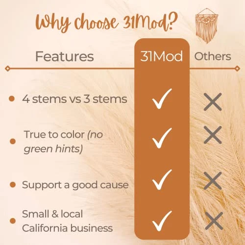 31Mod Faux Pampas Grass With 4 Large Artificial Pampas Grass Stems — 43" (Set Of 4), No-Shedding And Low Maintenance Pampas Grass Decor, Fake Pampas Grass, Pampas Grass Large, Boho Decor (43") 6 31Mod Faux Pampas Grass With 4 Large Artificial Pampas Grass Stems — 43" (Set Of 4), No-Shedding And Low Maintenance Pampas Grass Decor, Fake Pampas Grass, Pampas Grass Large, Boho Decor (43") - Image 6