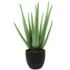 Beebel Artificial Succulent Fake Aloe For Bathroom Home Office Decor,Faux Succulent Plant With Black Plastic Planter,Artificial Potted Plant For House Decor (Aloe Succulent/13 Leaf) -Green Leaf Store 41oVT3ganFL
