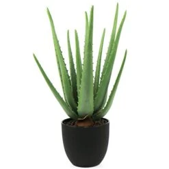 Beebel Artificial Succulent Fake Aloe For Bathroom Home Office Decor,Faux Succulent Plant With Black Plastic Planter,Artificial Potted Plant For House Decor (Aloe Succulent/13 Leaf)