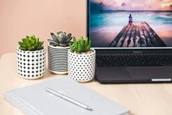 Dipiti Artificial Succulent Plants In Pots-Set Of 3|Black And White Ceramic Planters|Faux Plants Indoor & Outdoor|Gifts For Women|Kitchen Office Bathroom Desk Bedroom Shelf Decor|Potted Fake Plants -Green Leaf Store 41oat2jXkwS