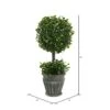 Vickerman Everyday Artificial Boxwood Topiary 13 Inch - Lifelike Home Office Decor - Potted Indoor Faux Table Top Tree - Maintenance Free -Green Leaf Store 41ofipdUnwL