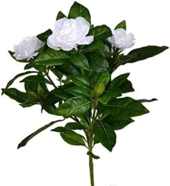 Vickerman 14.5" Artificial White Polyester Gardenia Flower Bush -Green Leaf Store 41ooNChu8CL. AC