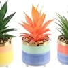 Letinaner Artificial Succulent Plants Faux Pineapple In Pots Artificial Plants Greenery Decorations For Hotel Restaurant Home Office Kitchen Table, Set Of 3 12 Letinaner Artificial Succulent Plants Faux Pineapple In Pots Artificial Plants Greenery Decorations For Hotel Restaurant Home Office Kitchen Table, Set Of 3 -Green Leaf Store 41pNIh2kvSL