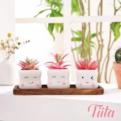 Tiita Artificial Faux Succulents In Pots Fake Plants Ceramic Arrangement Planter Small Mini Tiny Decoration For Home Office Desk Window Sill Bathroom Bedroom Outdoor Indoor -Green Leaf Store 41pS3jIWorL