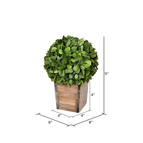 Vickerman Everyday 9 Inch Artificial Boxwood Topiary Ball - Natural Green - For Indoor Use Suspended Or Arrangement Accent - Home Tabletop Fake Bush Decoration 2 Vickerman Everyday 9 Inch Artificial Boxwood Topiary Ball - Natural Green - For Indoor Use Suspended Or Arrangement Accent - Home Tabletop Fake Bush Decoration - Image 2