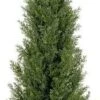 Silk Tree Warehouse One UV Rated Outdoor Artificial 4 Foot Cedar Topiary Tree -Green Leaf Store 41qHToX2PpL