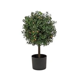 National Tree Company Pre Lit Artificial Potted Shrub, Green, Boxwood Single Ball Topiary, Includes Black Pot Base, Plug In, Spring Collection, 2 Feet