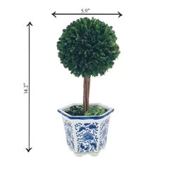Galt International Preserved Boxwood Topiary Tree In Blue & White Ceramic Pot - Plant And Table Centerpiece - Stunning Greenery And Plant Decor For Home 5.9" Diameter Topiary 14" Tall -Green Leaf Store 41qVeSQhQ9L
