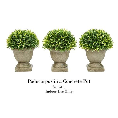 Pure Garden Artificial Podocarpus Grass Plant In Concrete Round Set Of 3, 7.5” Decorative Faux Indoor Ornamental Potted Topiary 1 Pure Garden Artificial Podocarpus Grass Plant In Concrete Round Set Of 3, 7.5” Decorative Faux Indoor Ornamental Potted Topiary