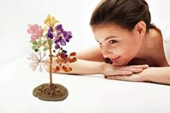 Mina Heal Crystal Gem Money Tree For Chakra Healing Feng Shui Fortune Good Luck Wealth & Prosperity -Green Leaf Store 41qtGdRpW1L