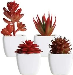 Tiita Artificial Faux Succulents In Pots Fake Plants Ceramic Arrangement Planter Small Mini Tiny Decoration For Home Office Desk Window Sill Bathroom Bedroom Outdoor Indoor 4 Set -Green Leaf Store 41rYyT6nkdL. AC