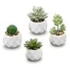MyGift Set Of 4 Mini Assorted Artificial Succulent Fake Plants In Modern White Textured Ceramic Plant Pots -Green Leaf Store 41rnZpqDORS