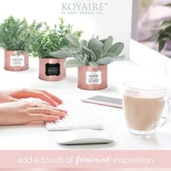 KOYAIRE Motivational Desk Plant Set Of 3 - Rose Gold Desk Accessories For Women Office - Rose Gold Decor And Home Office Accessories - Small Fake Plants - Desk Decorations For Women Office Decor -Green Leaf Store 41rrJUltVML