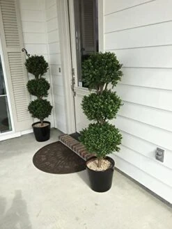 Two 56 Inch Artificial Boxwood Triple Ball Trees Potted 7 Two 56 Inch Artificial Boxwood Triple Ball Trees Potted -Green Leaf Store 41rrVYTubfL 1