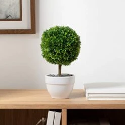 Torre & Tagus 901837 Jardin Topiary Boxwood Ball, 10-Inch 5 Torre & Tagus 901837 Jardin Topiary Boxwood Ball, 10-Inch -Green Leaf Store 41run1BZaNL