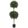4' Double Ball-shaped Boxwood Topiary In Plastic Pot Two Tone Green