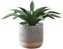 FAVRD Artificial Succulents In Cement Pot Environmentally Conscious Partly Recycled Fake Plants Artificial Plants Indoor Home Office Decor Desk Faux Plants, 8.5 X 8.5 X 8.75 Inches, Green, (10181-A) -Green Leaf Store 41rz2ujslhS. AC