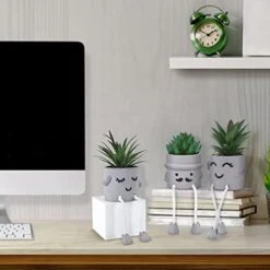 WOODWORD 3 Pack Mini Potted Fake Succulents Desk Plant With Creative Emotional Cement Pots For Shelf Home Bathroom Living Room Kitchen Decor And Office Decorations -Green Leaf Store 41s4NXdzlEL
