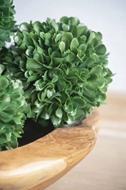 A&B Home 4" Faux Boxwood Topiary Ball Botanical/Green, Modern Greenary Home Décor 9 A&B Home 4" Faux Boxwood Topiary Ball Botanical/Green, Modern Greenary Home Décor -Green Leaf Store 41sJnb0W1nL