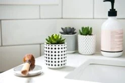 Dipiti Artificial Succulent Plants In Pots-Set Of 3|Black And White Ceramic Planters|Faux Plants Indoor & Outdoor|Gifts For Women|Kitchen Office Bathroom Desk Bedroom Shelf Decor|Potted Fake Plants -Green Leaf Store 41sOuNQJbfL