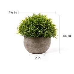 T4U 3PCS Artificial Plastic Potted Plant Fake Green Grass Faux Plant With Pot For Home Office Indoor Décor -Green Leaf Store 41sTKftLqyL