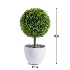 Torre & Tagus 901837 Jardin Topiary Boxwood Ball, 10-Inch 6 Torre & Tagus 901837 Jardin Topiary Boxwood Ball, 10-Inch -Green Leaf Store 41sXx3bUBOL
