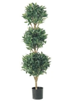 Set Of 2 Potted Artificial Sweet Bay Triple Ball Topiary Trees 4'