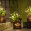 BEGONDIS Set Of 3 Artificial Succulents With Led Lights In Wooden Box, Artificial Plants Plastic Fake Topiary For Home/Office Decorations, Table Centerpiece 12 BEGONDIS Set Of 3 Artificial Succulents With Led Lights In Wooden Box, Artificial Plants Plastic Fake Topiary For Home/Office Decorations, Table Centerpiece -Green Leaf Store 41u0fWNpCxL