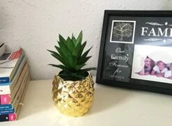 Golden Pineapple Ananas Potted Artificial Succulents Faux Plants Home Office Tabletop Decoration (Gold) -Green Leaf Store 41uN1Cwa9KL