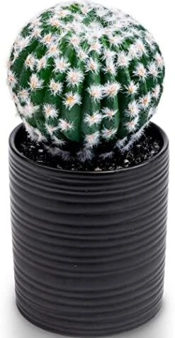 SEEKO Fake Cactus For Home Décor 11" - Artificial Faux Cactus For Southwest, Office, Desk, Shelf - Indoor Fake Plants - White Décor Accents - Modern Farmhouse Decor  -Green Leaf Store 41umE0Ly1rL. AC