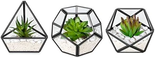 Mkono Artificial Succulent In 3 Pack Mini Glass Geometric Terrarium, Miniature Potted Faux Plant Bookshelf Desk Boho Office Room Decor For Women Girls Dorm Gift Idea, Gold 7 Mkono Artificial Succulent In 3 Pack Mini Glass Geometric Terrarium, Miniature Potted Faux Plant Bookshelf Desk Boho Office Room Decor For Women Girls Dorm Gift Idea, Gold - Image 7