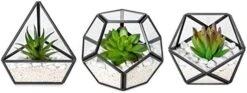 Mkono Artificial Succulent In 3 Pack Mini Glass Geometric Terrarium, Miniature Potted Faux Plant Bookshelf Desk Boho Office Room Decor For Women Girls Dorm Gift Idea, Black -Green Leaf Store 41utwzXCaL. AC