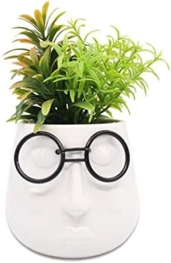 ALIWINER Artificial Succulents Plants With Ceramic Pot Decor Figurines Living Room Decor Home Decoration -Green Leaf Store 41v0HzPbZ5L. AC