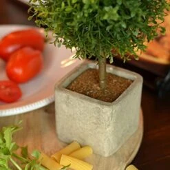 WHW Whole House Worlds Realistic Faux Potted Boxwood Ball Topiary Tree, Gray Stone Finished Planter, 10 1/4 Inches Tall -Green Leaf Store 41vBRPSqKCL