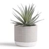 Kurrajong Farmhouse Faux Plant In Pot - 8" X 4.5" | Beautiful Faux Succulent Plant Decor | Artificial Succulent Plants | Faux Plants Indoors -Green Leaf Store 41vGF1aEG4L