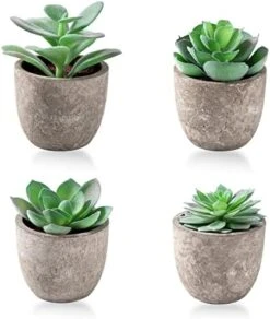 Jelofly Fake Plants Artificial Succulent Plants Assorted Decorative Faux Succulent Potted Fake Cactus Cacti Plants Gray Pots, Set Of 5 15 Jelofly Fake Plants Artificial Succulent Plants Assorted Decorative Faux Succulent Potted Fake Cactus Cacti Plants Gray Pots, Set Of 5 -Green Leaf Store 41vIiFQKgL. AC