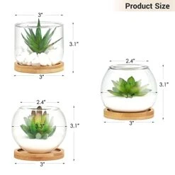 Mkono Artificial Succulent In Clear Glass Pot, Set Of 3 Mini Potted Fake Plants For Women Office Decor Small Faux Green Plant With BambooTray For Bookshelf Bathroom Kitchen Decor Tabletop Centerpiece -Green Leaf Store 41vIsgCw2mL