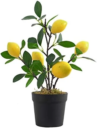 UNIE Artificial Lemon Topiary Mini Tree Potted Fake Plants In Pot For Home Office Decorations 7 UNIE Artificial Lemon Topiary Mini Tree Potted Fake Plants In Pot For Home Office Decorations - Image 7