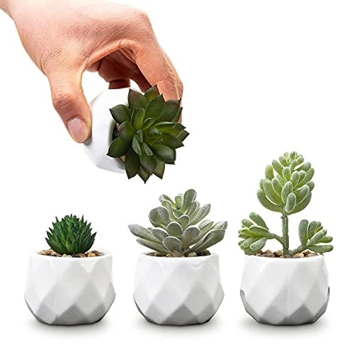 MyGift Set Of 4 Mini Assorted Artificial Succulent Fake Plants In Modern White Textured Ceramic Plant Pots 5 MyGift Set Of 4 Mini Assorted Artificial Succulent Fake Plants In Modern White Textured Ceramic Plant Pots - Image 5