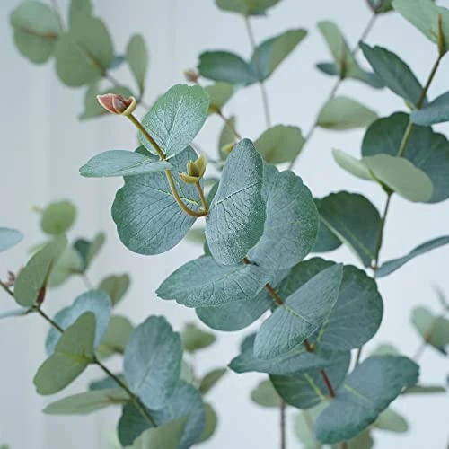 CHUVIM Artificial Eucalyptus Tree 6FT Tall Fake Silver Dollar Leaves Faux Eucalyptus Stems, Mordern Artificial Tree Plants For Home, Office, Courtyard Decor, Perfect Housewares Gift 2 CHUVIM Artificial Eucalyptus Tree 6FT Tall Fake Silver Dollar Leaves Faux Eucalyptus Stems, Mordern Artificial Tree Plants For Home, Office, Courtyard Decor, Perfect Housewares Gift - Image 2