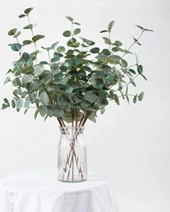 Miracliy 6 PCS Artificial Eucalyptus Leaves Greenery Stems Faux Silk Silver Dollar Eucalyptus Leaf Branches Green Bulk For Home Party Wedding Decoration -Green Leaf Store 41x95I9eBJL